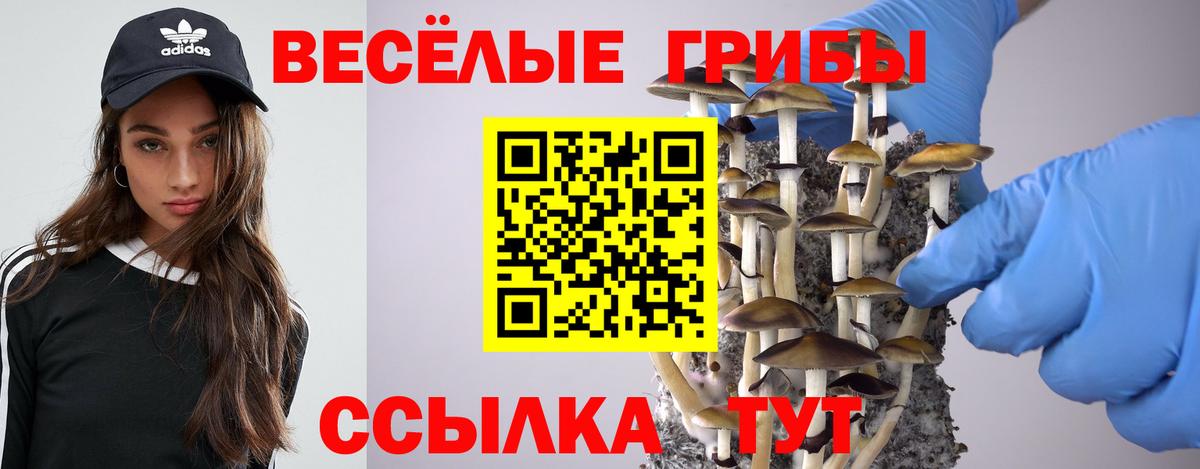 Псилоцибиновые грибы GOLDEN TEACHER Похвистнево